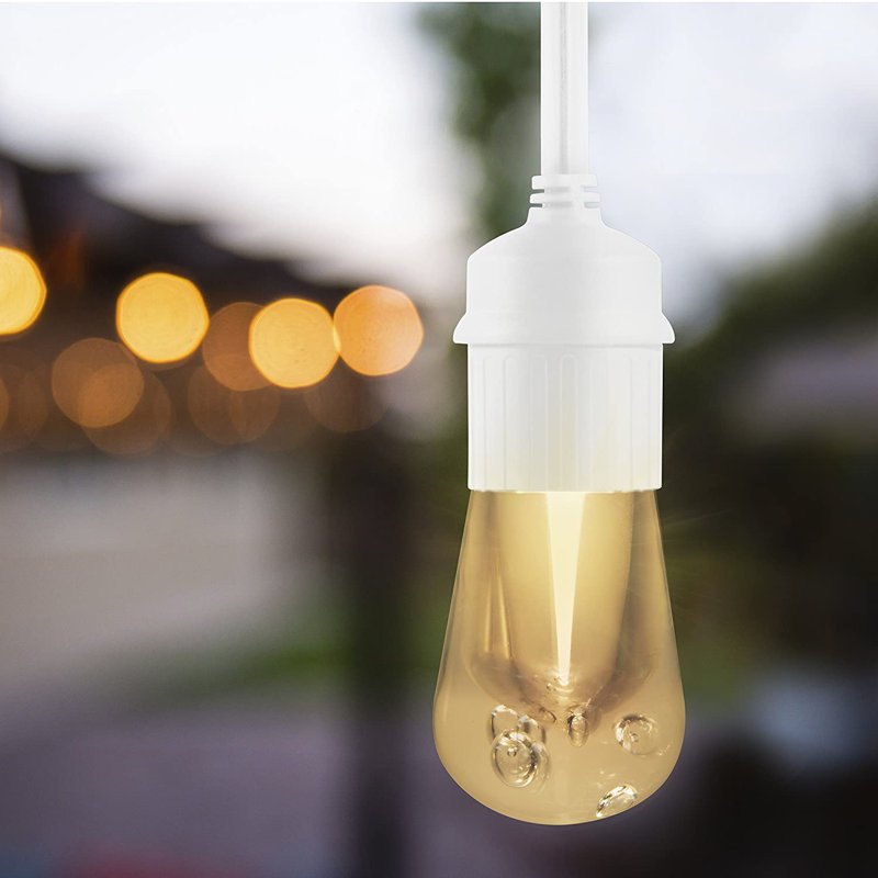 Classic Outdoor 12 - Bulb 24'' Plug-in LED String Light