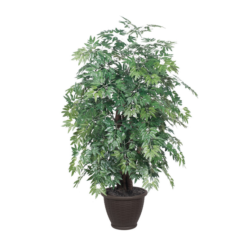 Série artificielle Ming Aralia Extra Full, Brun