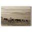 Wild Horse Sanctuary - Cavas enveloppés dans une galerie-702910380