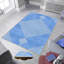 Élégant tapis imprimé en 3D, 4,6 x 7,2 pi | 100% polyester, hauteur des poils de 0,31 po, antibactérien | Revers en PVC antidérapant, lavable à la machine, parfait pour le salon ou la chambre à coucher, design durable et élégant-1354648115