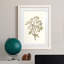 «Twig Study II», impression encadrée-1326240120-1326240116