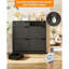 24 Pair Shoe Storage Cabinet