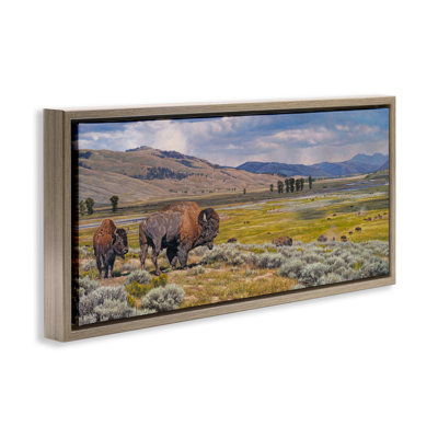 Art mural sur toile flottant Roisson Southwestern Bison par David Graham