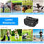 Collier pour chien rechargeable
