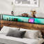 Storage Bed-1858203653