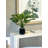 19" Hosta Plant in Glass Vase