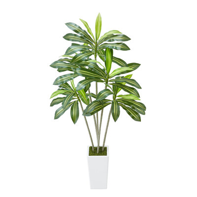 Arbre artificiel Dracaena 6 pi avec plante blanche