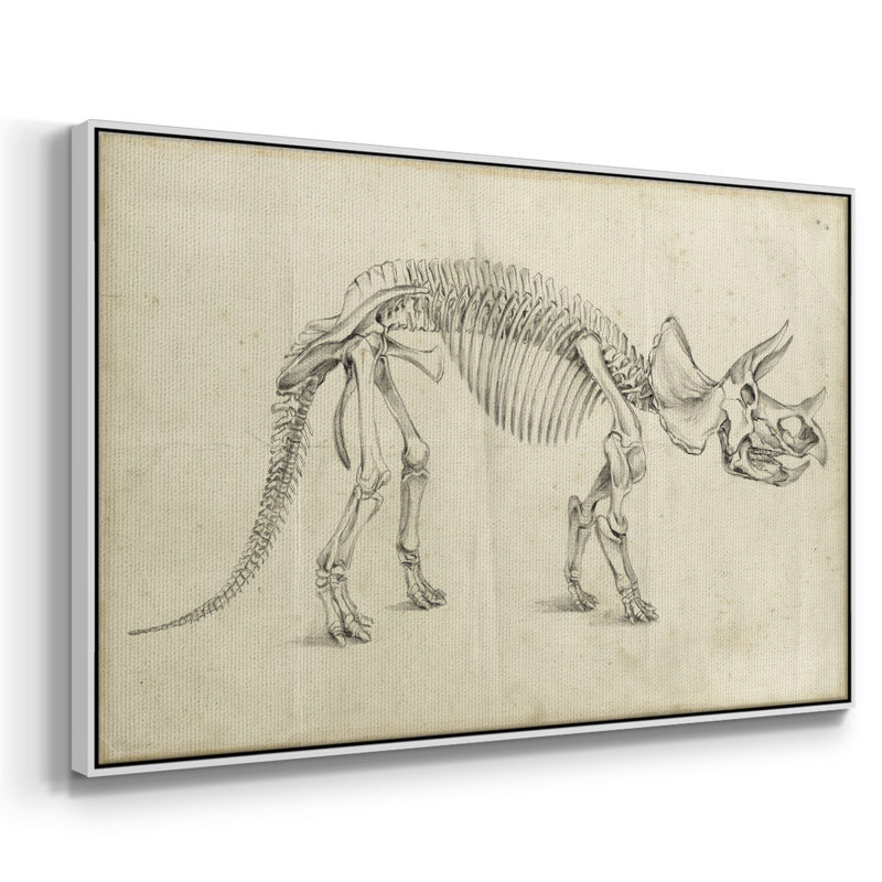 «Dinosaur Study II», reproduction d'art sur toile, H 17 po x l 25 po x P 2 po, Blanc