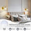 Armed Sconce-155718651