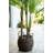 62'' Faux Palm Tree in Basket