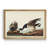 " Brant Goose "-671039526-671039525