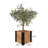 Mezza Wood Planter Box-55648292