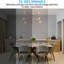 G25 LED Globe Light Bulb, Smoke Grey Glass, Dimmable, E26 Base Vintage Edison Bulb, 4000K Cool White-128757651