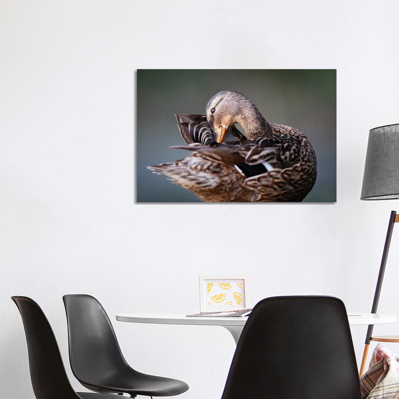 Madame by Mateusz Piesiak - Wrapped Canvas Print, 66.04cm H x 101.6cm W x 1.905cm D