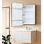 Camilah Dorriel 550mm x 810mm Mirror Cabinet-1673538576