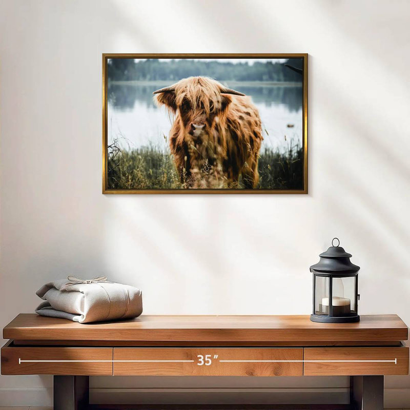 Vache Lakeside Highland, Cadre flottant doré, 19 po x 13 po