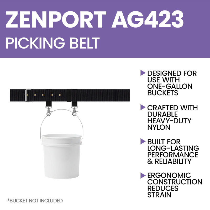 Blueberry Ceinture