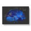 Earth View - Wrapped Canvas Print-56648496