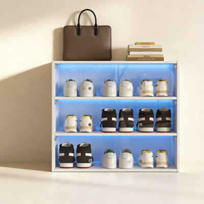 Armoire de rangement pour chaussures avec porte en verre