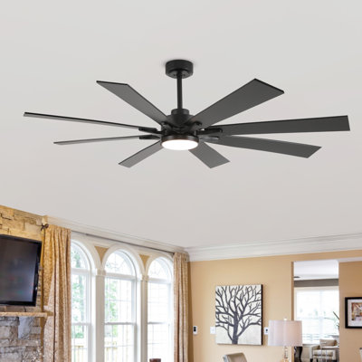 Delanei Ceiling Fan with LED Lights