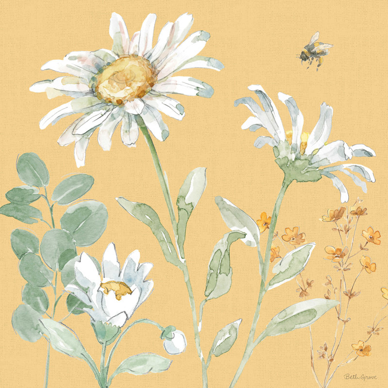 Marguerite, jours, neuvième, H 20 po x l 20 po