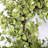 26" Faux Everyday Greenery Foliage Front Door Wreath
