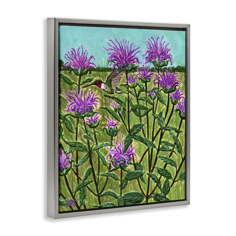 Cadre flottant Ruby Throated Hummingbird & Beebalm, design par Sarah Waldron Kimball, Cadre flottant gris lustré