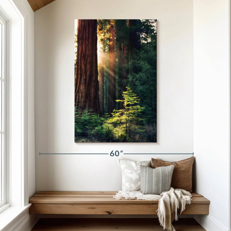 Arbres du parc national Harnek Yosemite, H 48 po x l 32 po