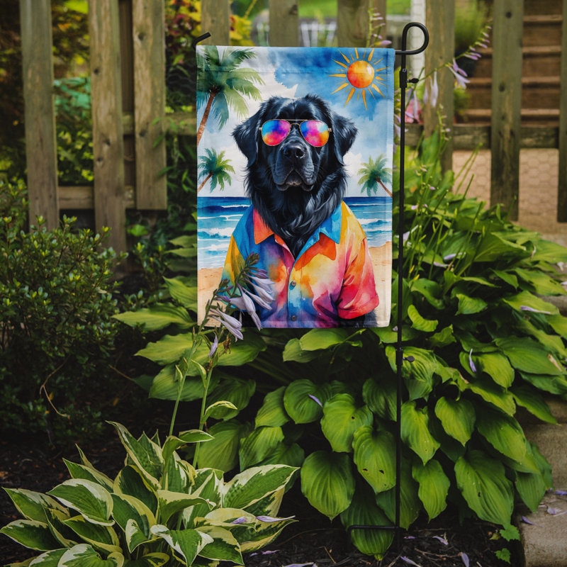Bouvier bernois avec drapeau de jardin, Terre-Neuve