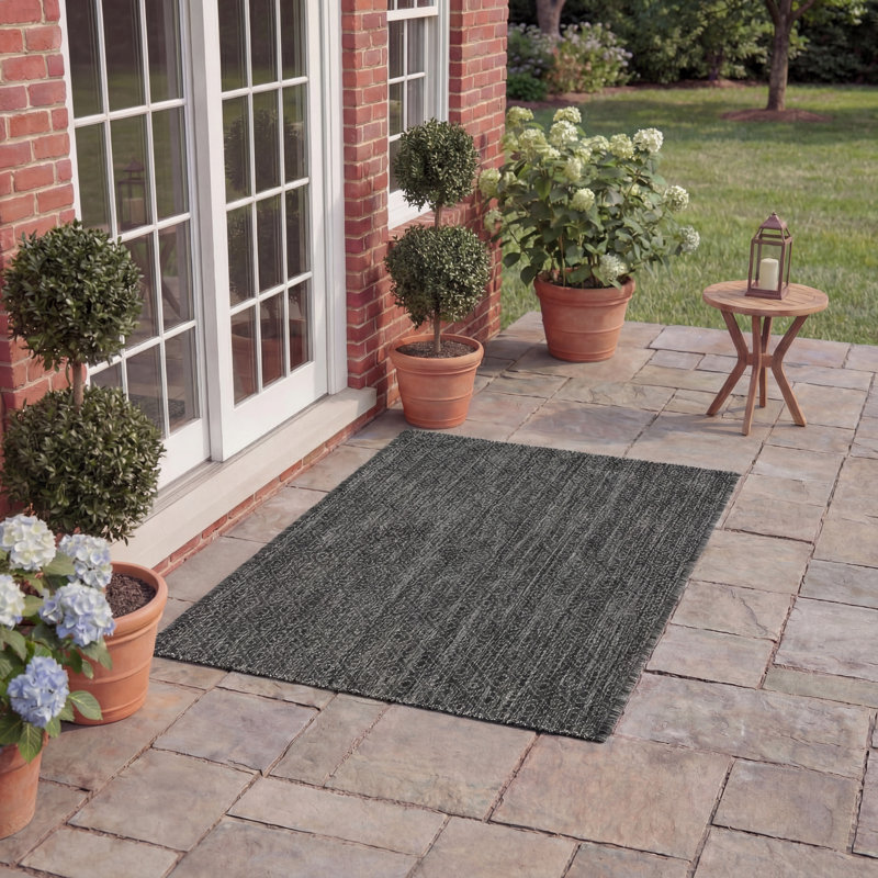Madyson Black Indoor/Outdoor Area Rug, Rectangle 2' x 3'7"