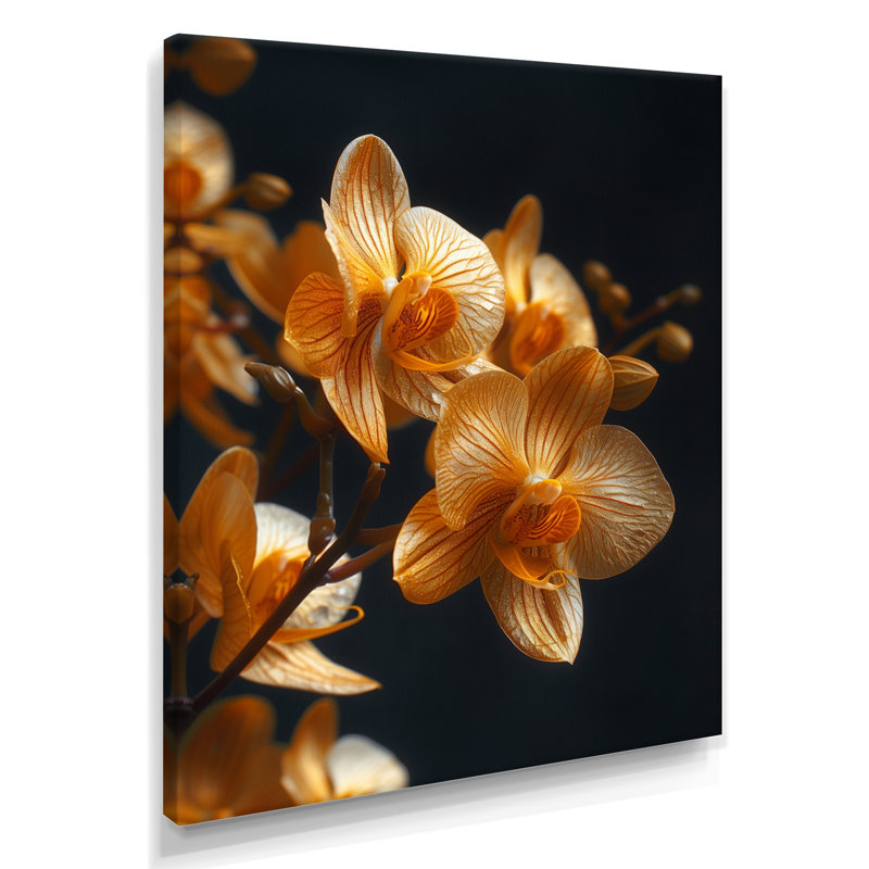 Orchidées noires parfumées Fusion III - art mural Orchidées, Toile tendue, H 12 po x l 20 po