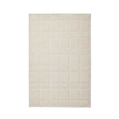 Area Rug in Beige