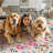 Washable Area Rug, Non-Slip Low Pile Stain Resistance Rug with Peacock and Deer, Animal Carpet for Living Room, Bedroom, Dining Room-49031359-49031358