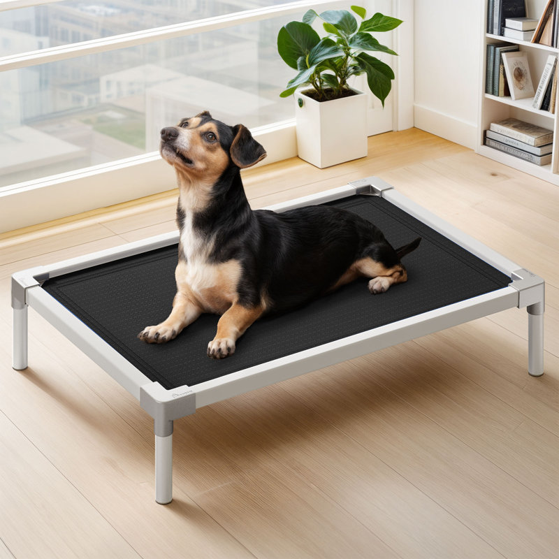 Lit surélevé pour chien avec pieds antidérapants, Noir, noir, noir, noir, H 7 po x l 42 po x P 30 po