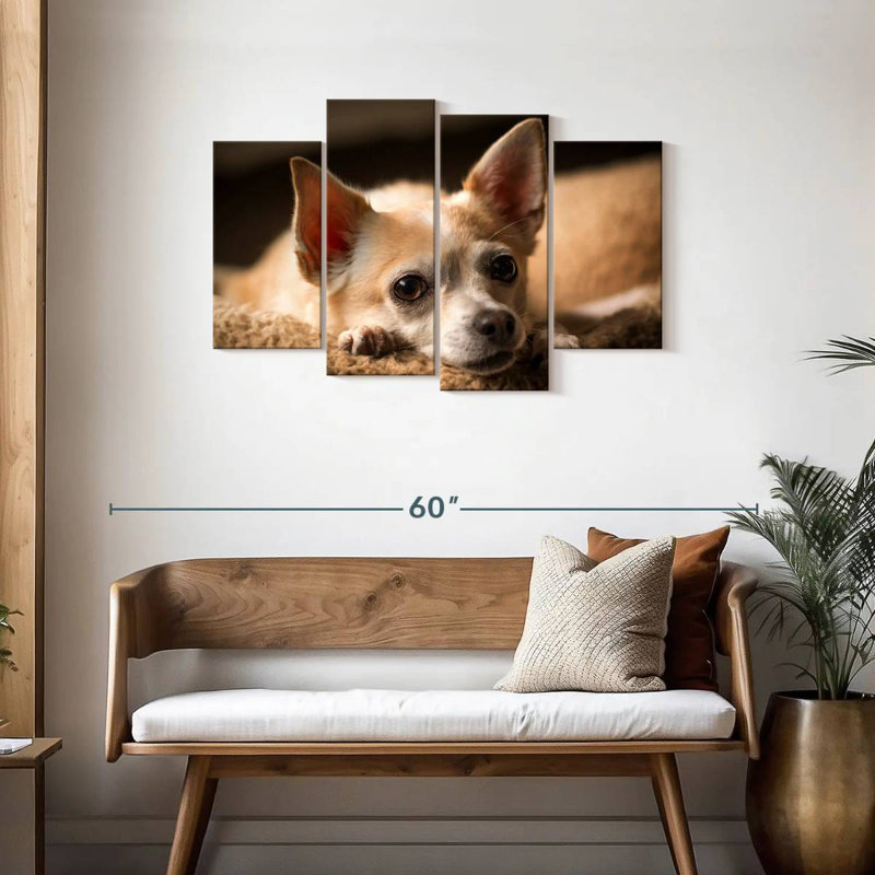 Brampt Resting Chihuahua, 27" H x 43" W