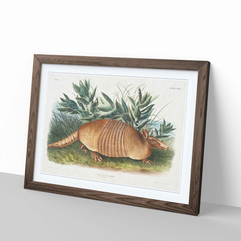 Armadillo 1 Piece Single Picture Frame Painting, 24cm H x 33cm W x 2cm D, Walnut