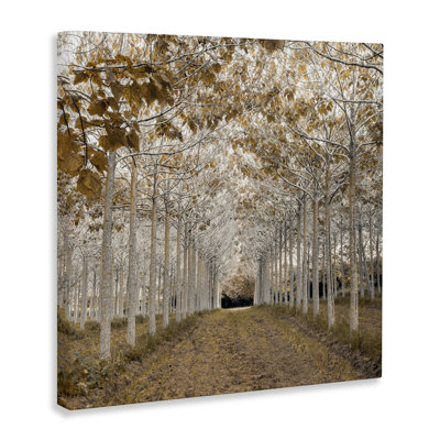 Toile Birch Grove or blanc, design par Assaf Frank