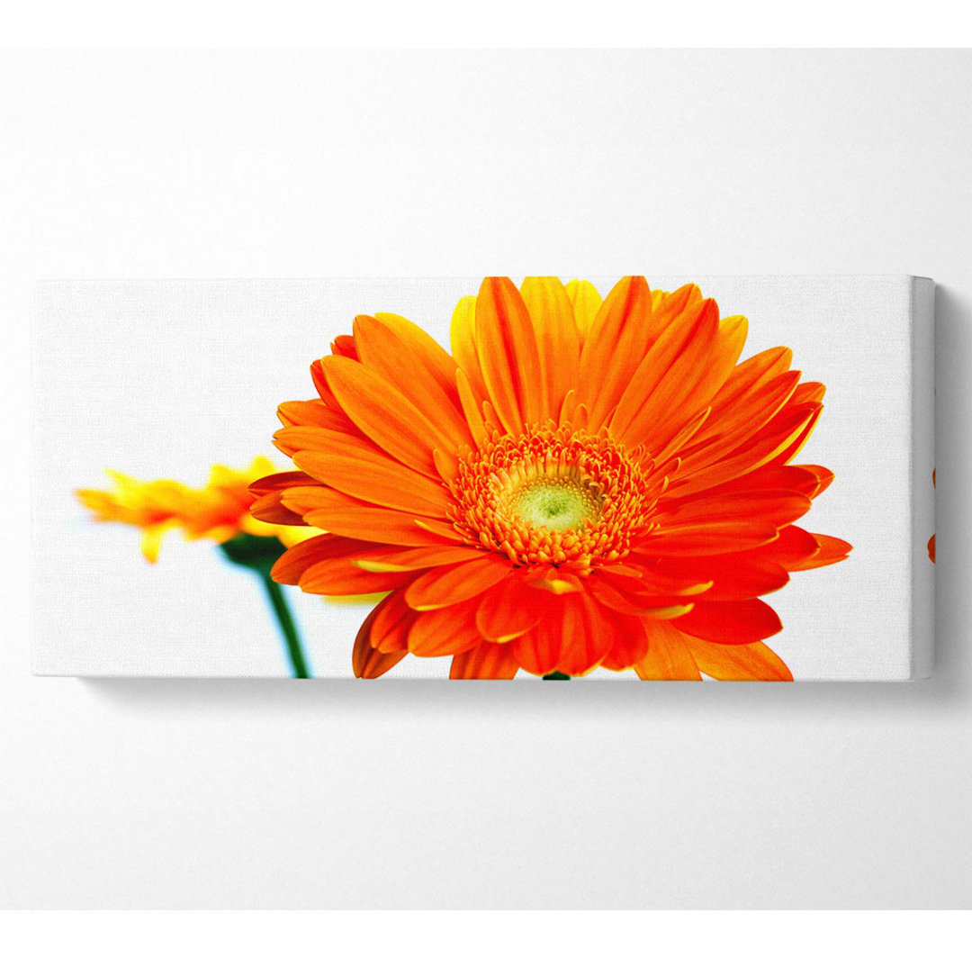 Orange Flames - Kunstdrucke auf Leinwand - Wrapped Canvas