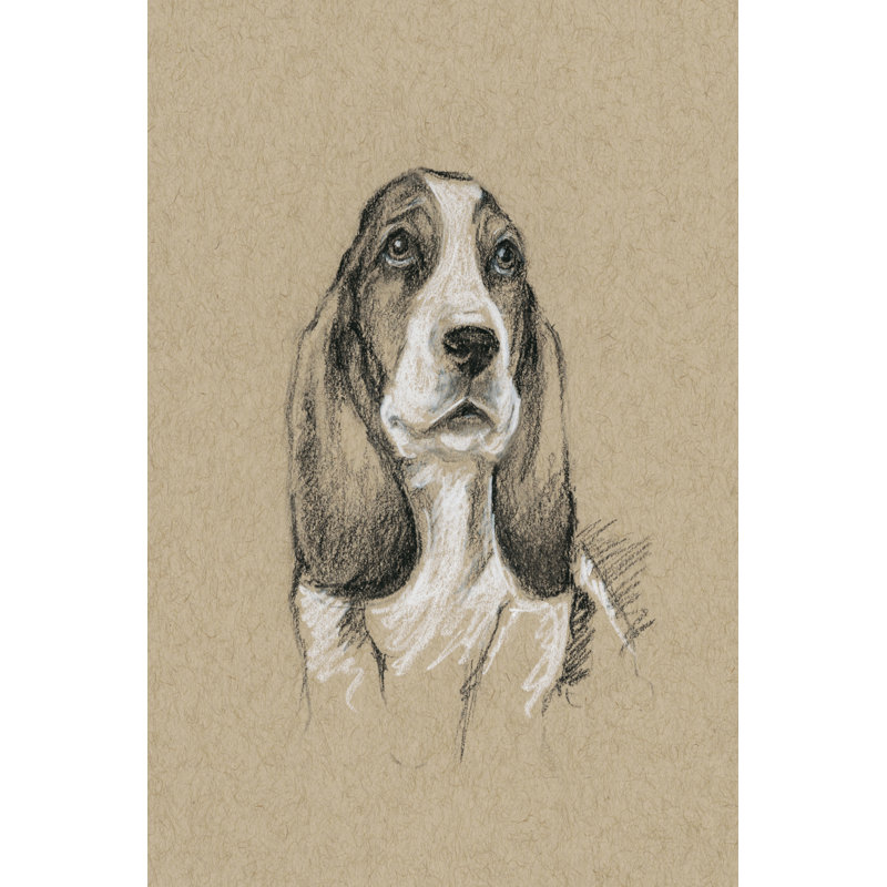 Breed Sketches VI by Ethan Harper - Painting Print, 122cm H x 81cm W, Wrapped Canvas