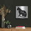 «Cat» par Cindy Jacobs-1684022614