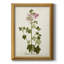 Toile encadrée de qualité supérieure antique botanique V prête à accrocher-899075340