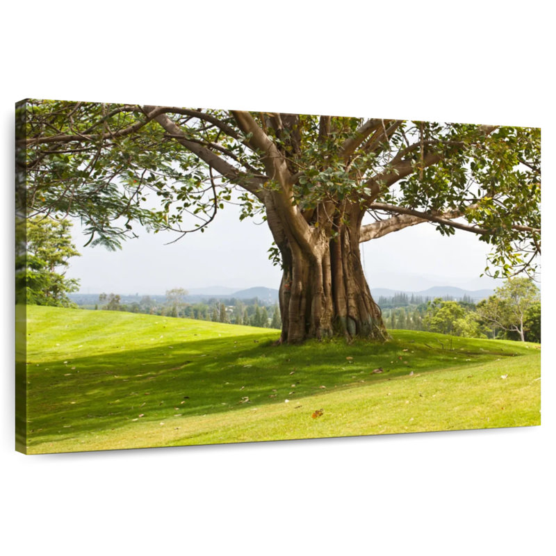 Harnek Real Tree, 34" H x 51" W