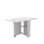 Entièrement déplié, table pliable de 51,18 pouces, convenant à une petite table familiale ou à une table de présentation, pratique, simple et longue, simple et légère