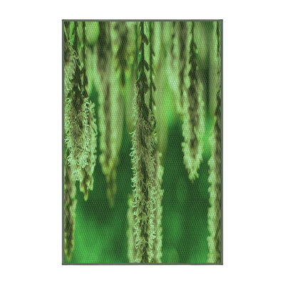 Floral Indoor Rug