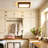 LED Light Flush Mount Ceiling Light
