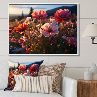 Champs roses de fleurs sauvages