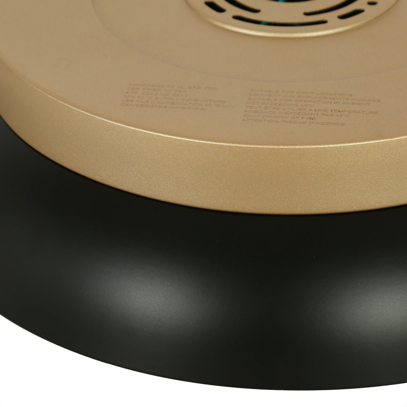 1 plafonnier encastré DEL 15,4 pouces 24 W à intensité variable 5 CCT noir et or (paquet de 1), Noir et or