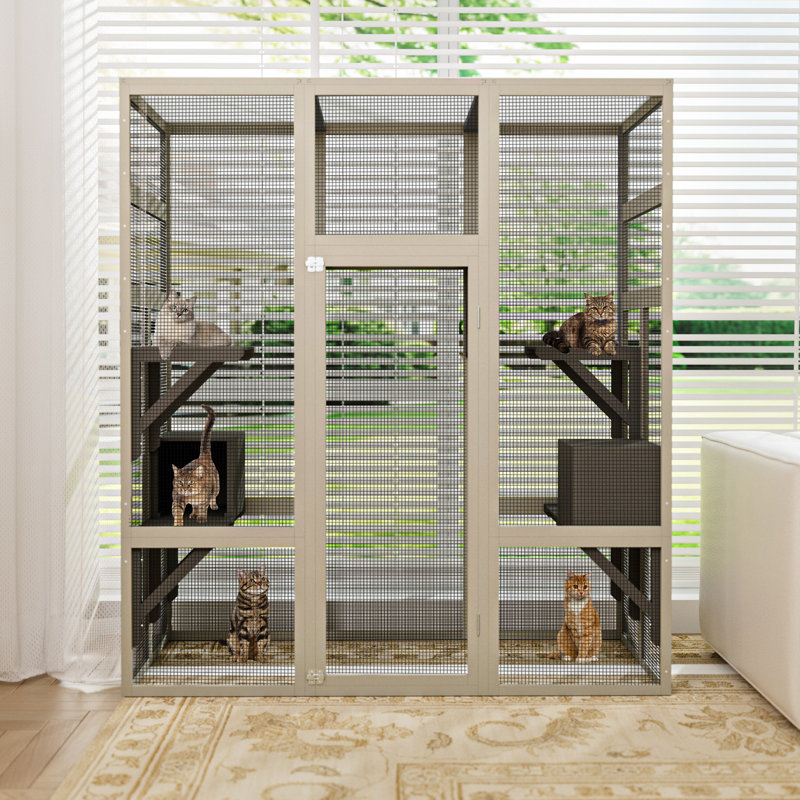 Cat House