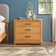 Contemporary Wood 3-Drawer Nightstand with Easy Assembly Drawer