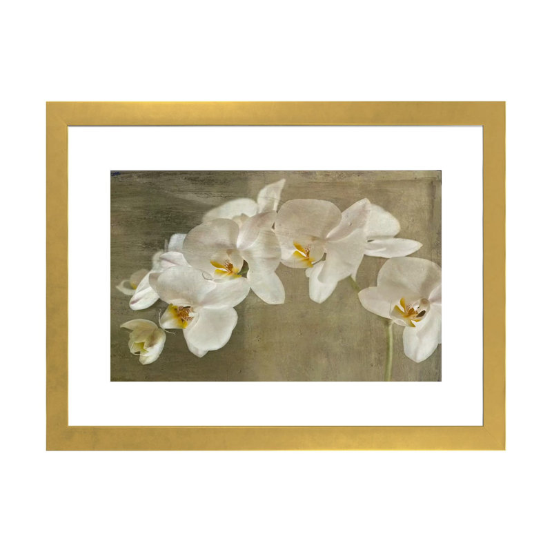 Orchidée peinte - reproduction d'art, Papier encadré doré, H 16 po x l 24 po x P 1 po
